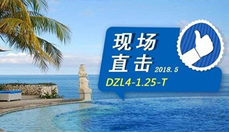現(xiàn)場直擊丨看生物質(zhì)鍋爐在巴厘島如何強(qiáng)操作，回頭客非它不選